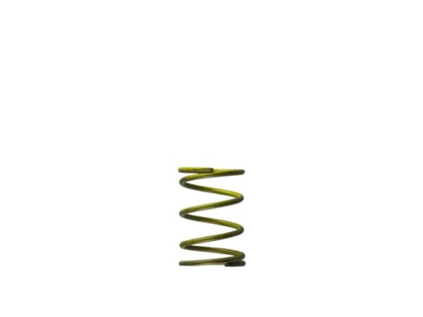 GenV WG45/50 5psi Yellow Inner Spring