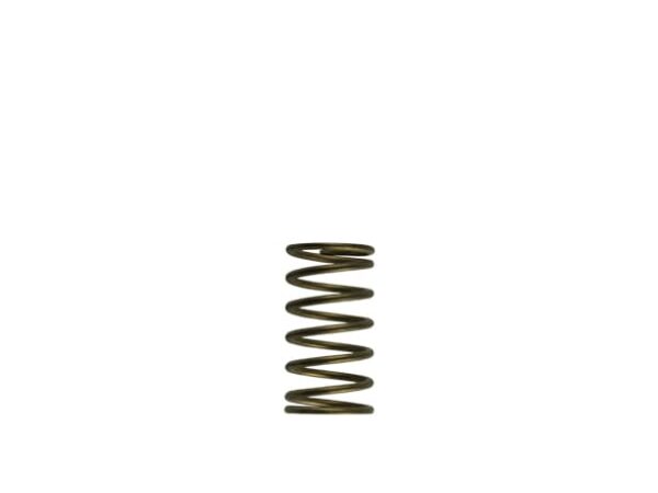 GenV WG60 3psi Inner Spring