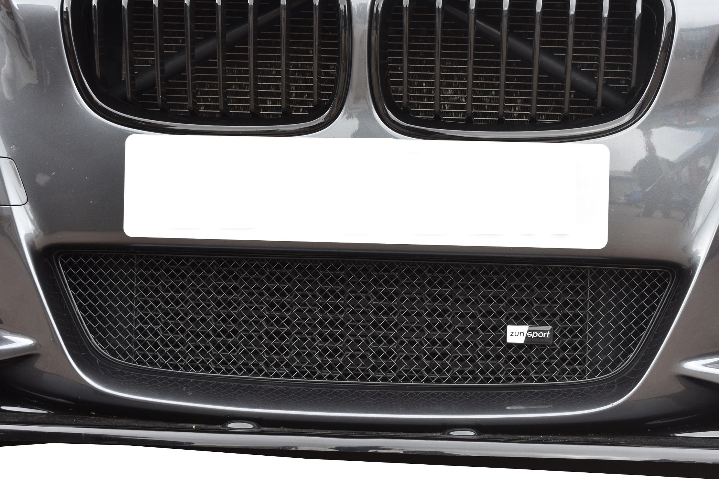 Zunsport BMW M135i 2012 - 2015 Lower Grille Black