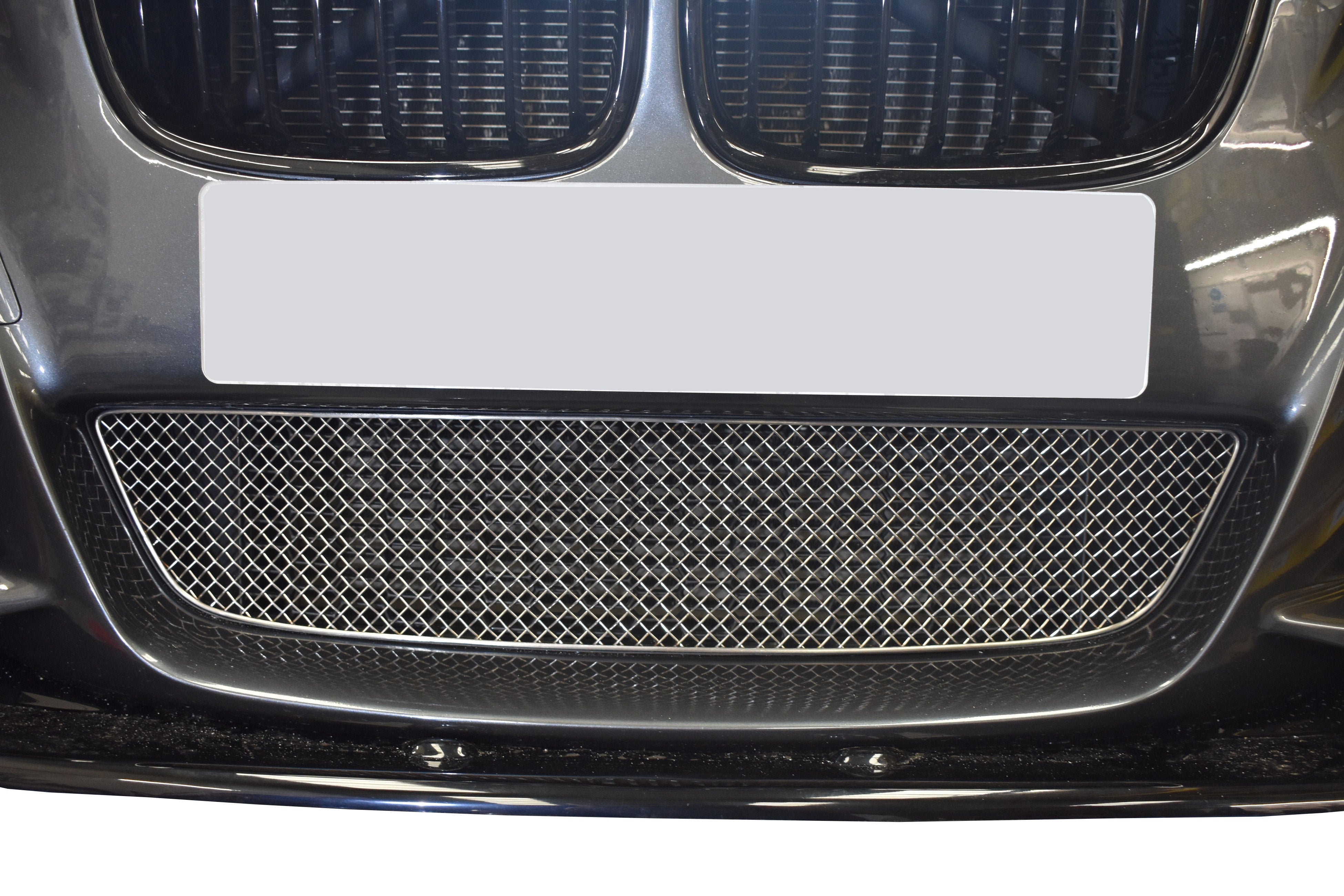 Zunsport BMW M135i 2012 - 2015 Lower Grille